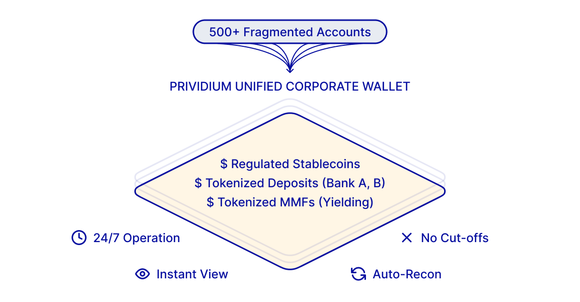 Consolidated, Multi-Asset Corporate Wallets